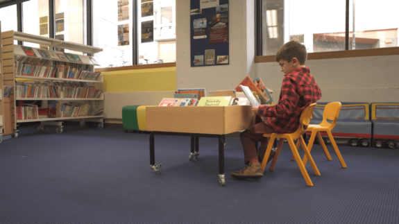 ASCEL libraries