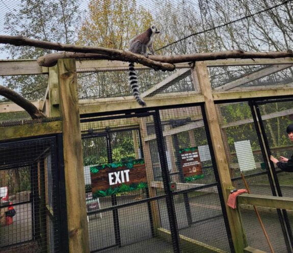 Ponderosa Zoo